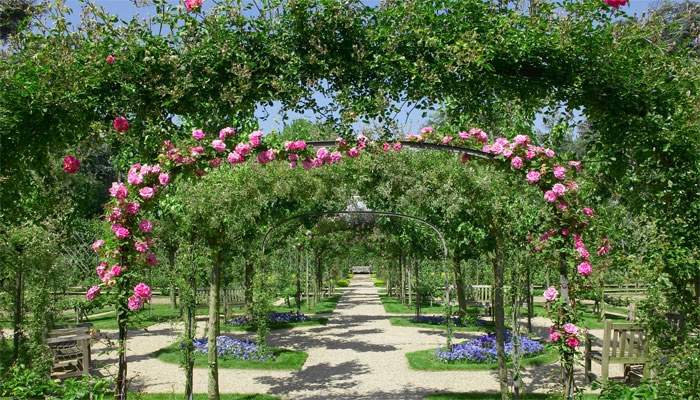 Les jardins du muse Albert Kahn