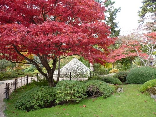 Les jardins du muse Albert Kahn
