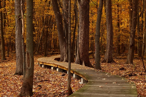 Couleurs d'automne