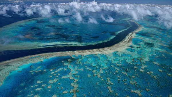 Grande Barrire de Corail (Australie)