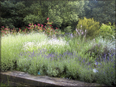 Jardin des Charmes