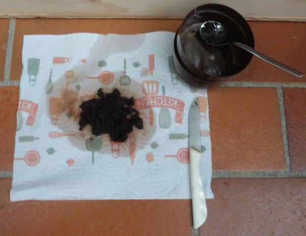 Récolte du marc de café