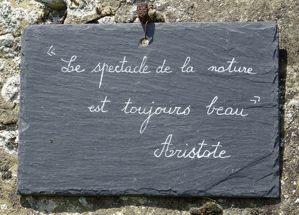 Les Citations Au Jardin