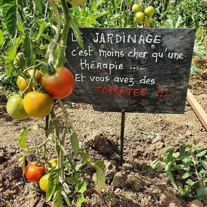 Le jardinage, c'est moins cher qu'une thrapie...