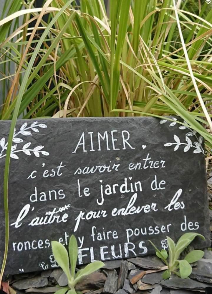 Aimer, c'est savoir faire pousser des fleurs