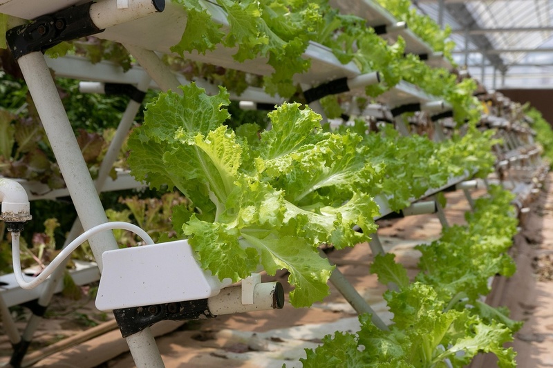 Irrigation serre au jardin