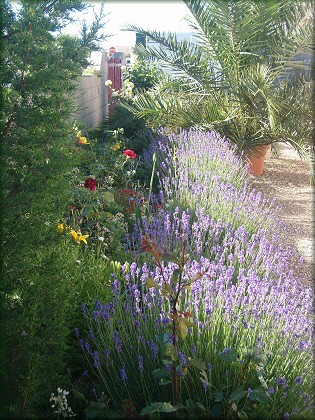 Jardin priv  Sauvian