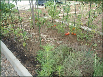 Jardin priv  Sauvian