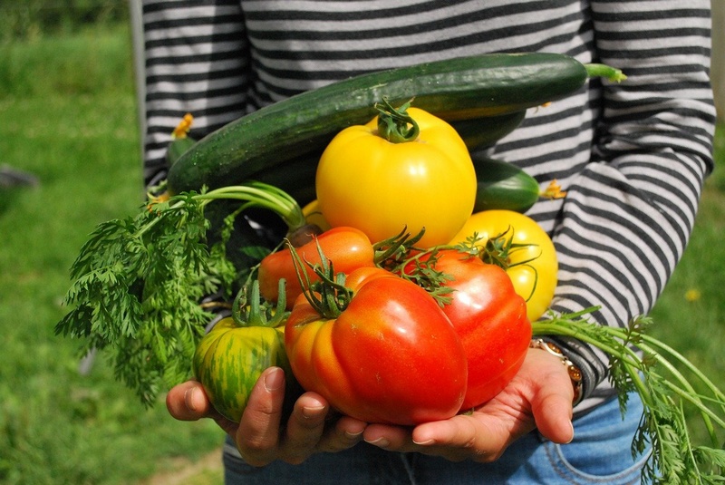 Les bienfaits du jardinage sur la sant