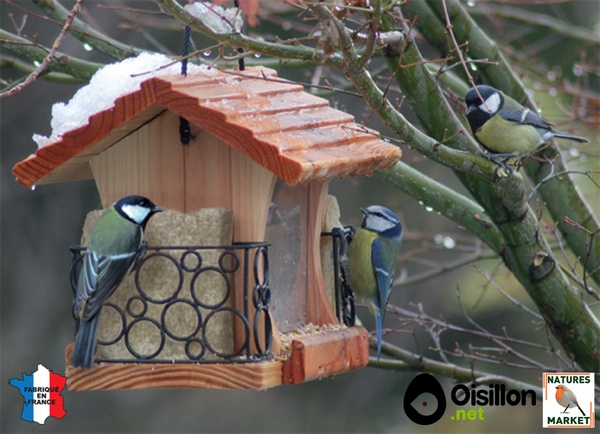 Nourrir les oiseaux en hiver