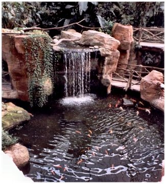 Superbe cascade dans l'Oasis