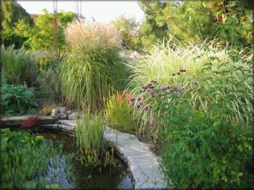 Jardin de Patrick Peltier