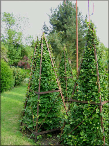 Jardin de Patrick Peltier