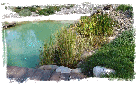 Piscine naturelle