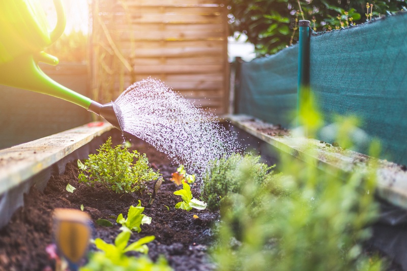 Toile de paillage : fonctionnement et mise en place - Jardindeco