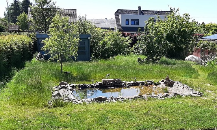 Biodiversité : adoptez la tonte raisonnée