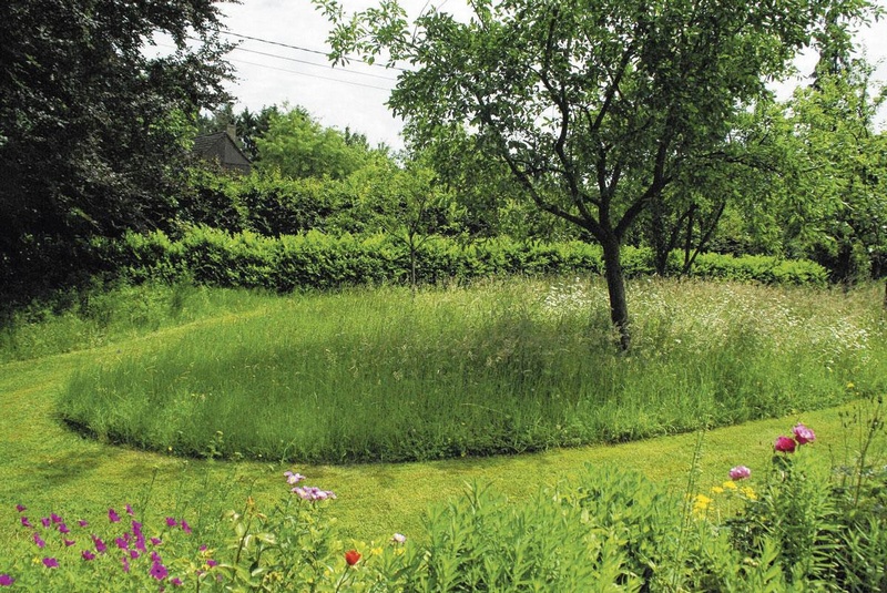 Fond Râteau De Jardin étant Tondu Sur La Saleté Fond, Image Dun