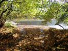 Automne_promenade_ardennes2.jpg