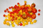 Nom du fichier=ob_63554c_tomate-cerice-jaune-et-rouge.jpg
Taille du fichier=210Ko
Dimensions : 1200x799
Ajouté le : 05 Septembre 2013 ob_63554c_tomate-cerice-jaune-et-rouge.jpg